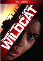 Wildcat