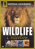 Wildlife Collection