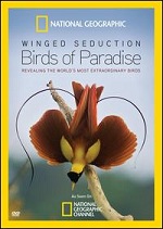 Winged Seduction - Birds Of Paradise