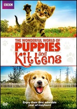 Wonderful World Of Puppies And Kittens