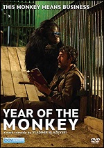 Year Of The Monkey
