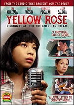 Yellow Rose