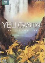 Yellowstone - Battle For Life