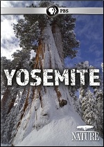 Yosemite