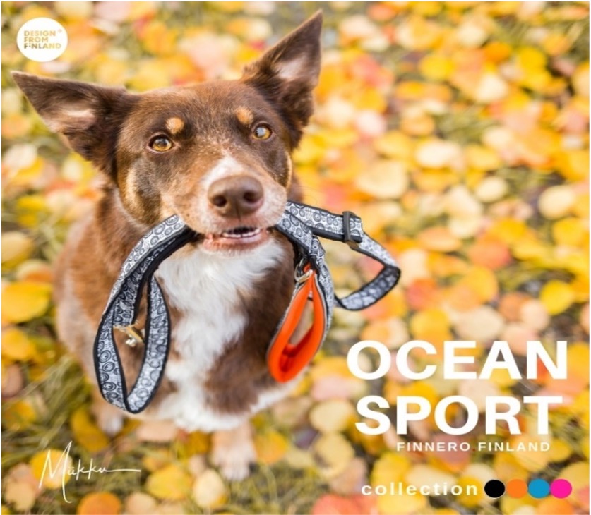 Ocean Sport justerbart koppel, orange