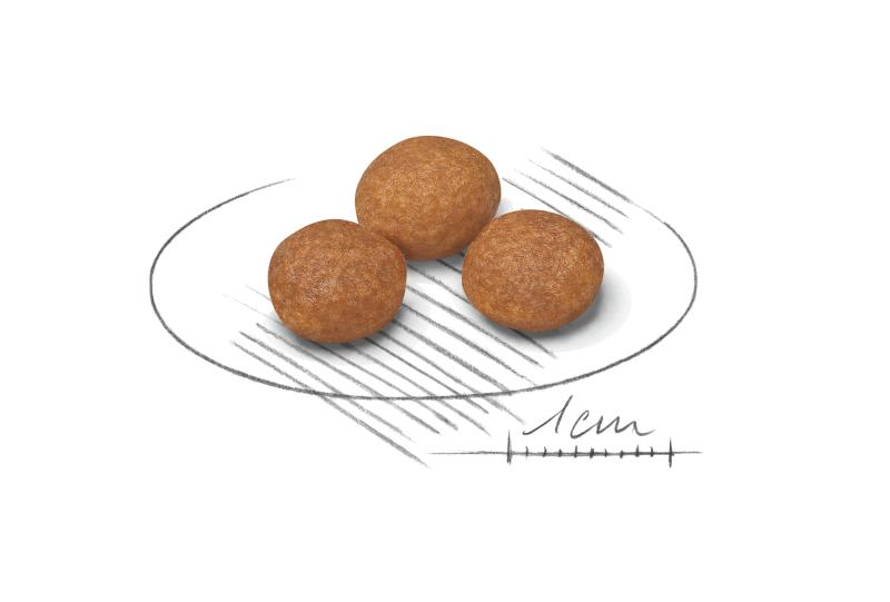 X-Small Adult 8+ 3 kg Royal Canin