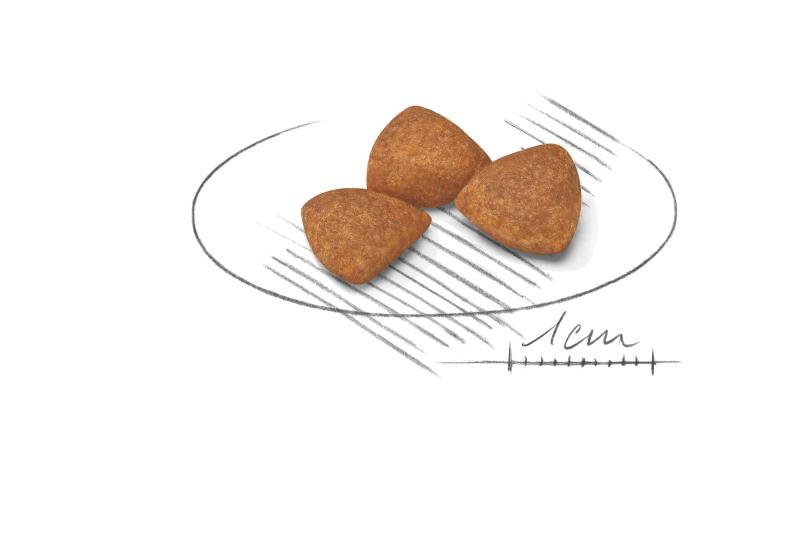 X-Small Ageing 12+ 1,5 kg Royal Canin