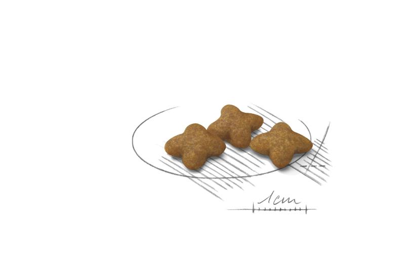 Sterilised X-Small 1,5 kg Royal Canin