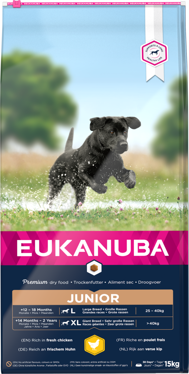Eukanuba Dog Junior Large 15 kg
