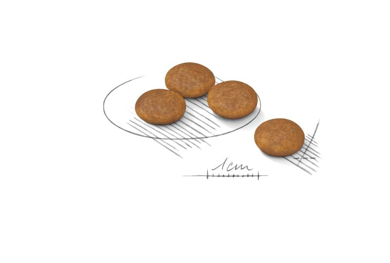 Light Weight Care X-Small 1,5kg Royal Canin