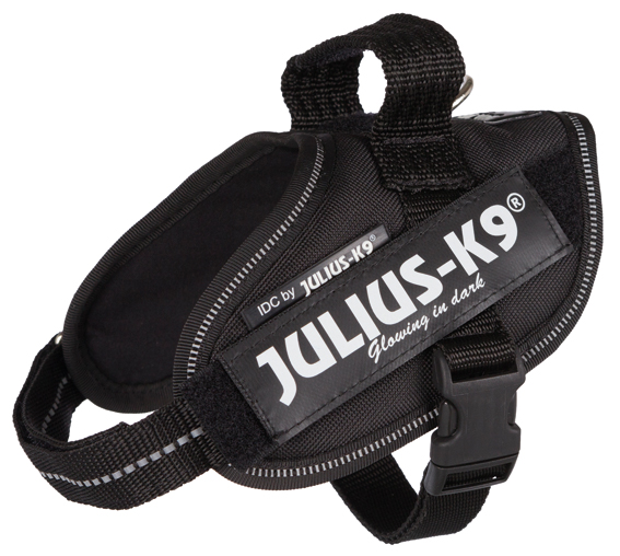 Julius-K9Â® IDC sele, Mini-Mini/S: 40-53 cm/22 mm, svart