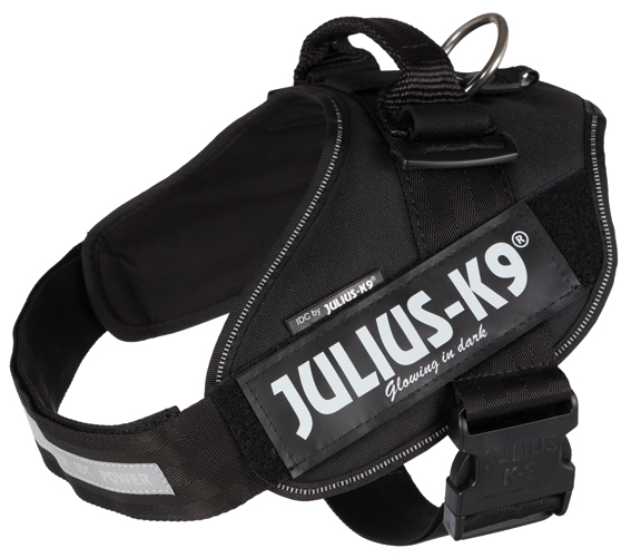 Julius-K9Â® IDC sele, 2/L-XL: 71-96 cm/50 mm, svart
