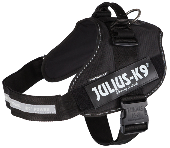 Julius-K9Â® IDC sele, 3/XL: 82-115 cm/50 mm, svart