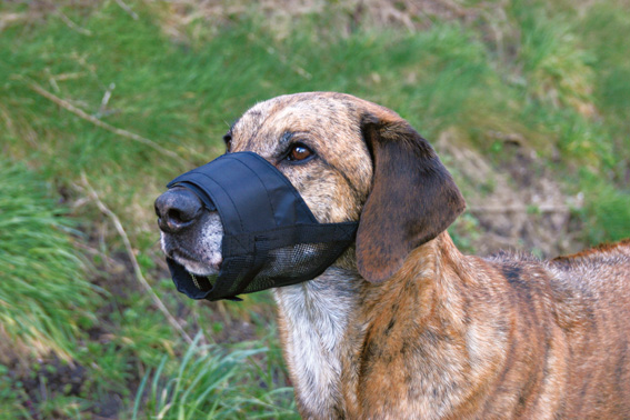 Munkorg nylon med nät M-L