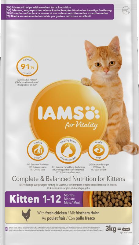 Iams Cat Kitten 3 kg