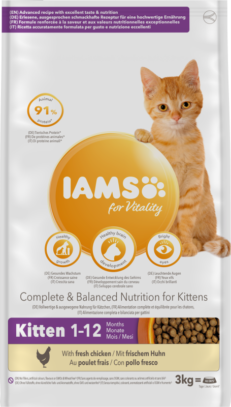 Iams Cat Kitten 3 kg