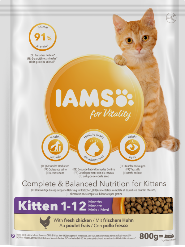 Iams Cat Kitten 800 g