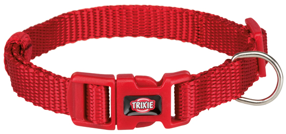 Premium halsband, XS/S: 22-35 cm/10 mm, röd