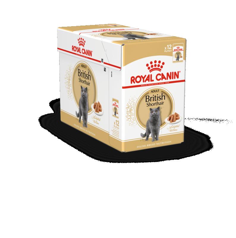 British Shorthair Adult Gravy 12x85 g Royal Canin