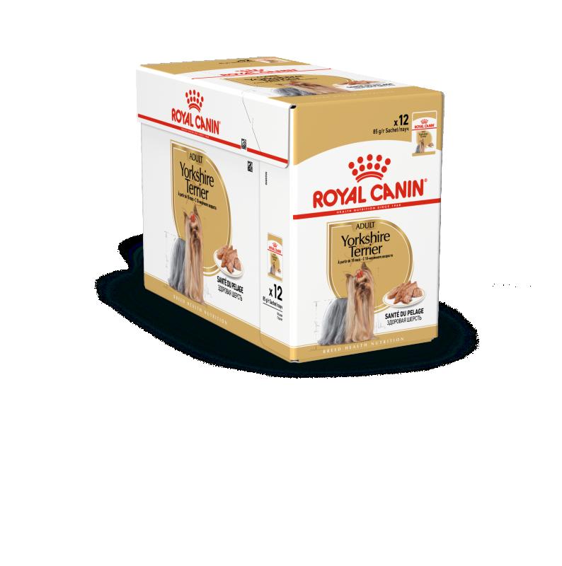Yorkshire Terrier Adult Loaf 12x85 g Royal Canin