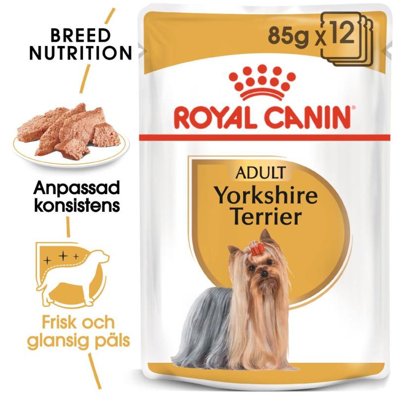 Yorkshire Terrier Adult Loaf 12x85 g Royal Canin