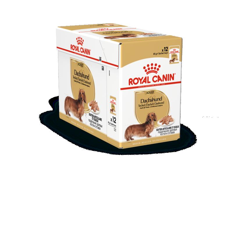 Dachshund Adult Loaf 12x85 g Royal Canin
