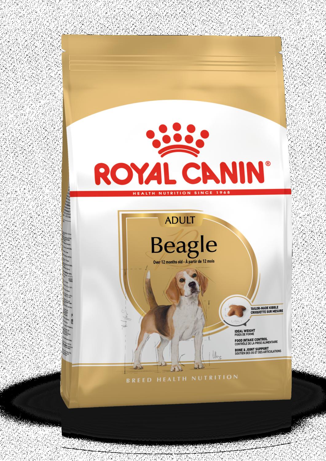 Beagle Adult 12 kg Royal Canin
