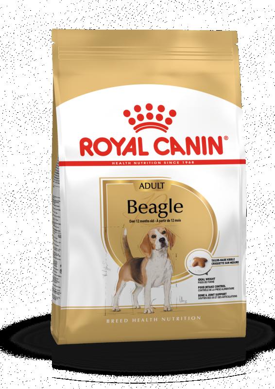 Beagle Adult 12 kg Royal Canin