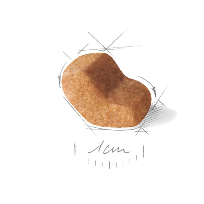 Shih Tzu Adult 7,5 kg Royal Canin