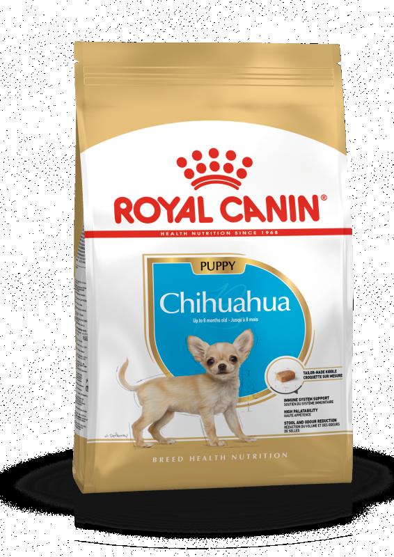 Chihuahua Puppy 1,5 kg Royal Canin