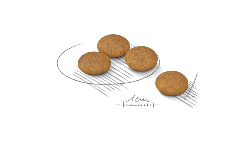 Dermacomfort Mini 3kg Royal Canin