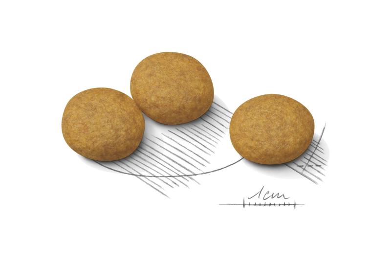 Dermacomfort Medium  3 kg Royal Canin