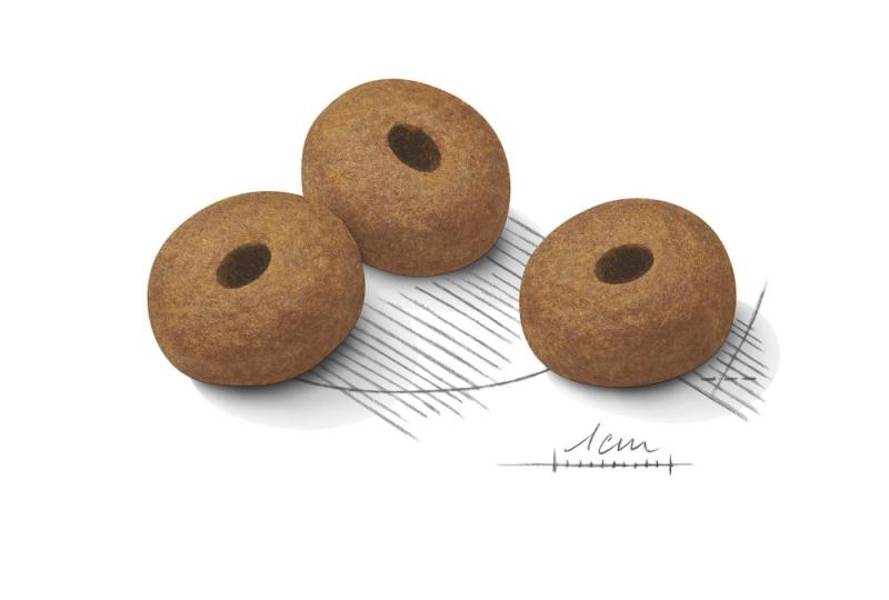 Light Weight Care Maxi 12kg Royal Canin