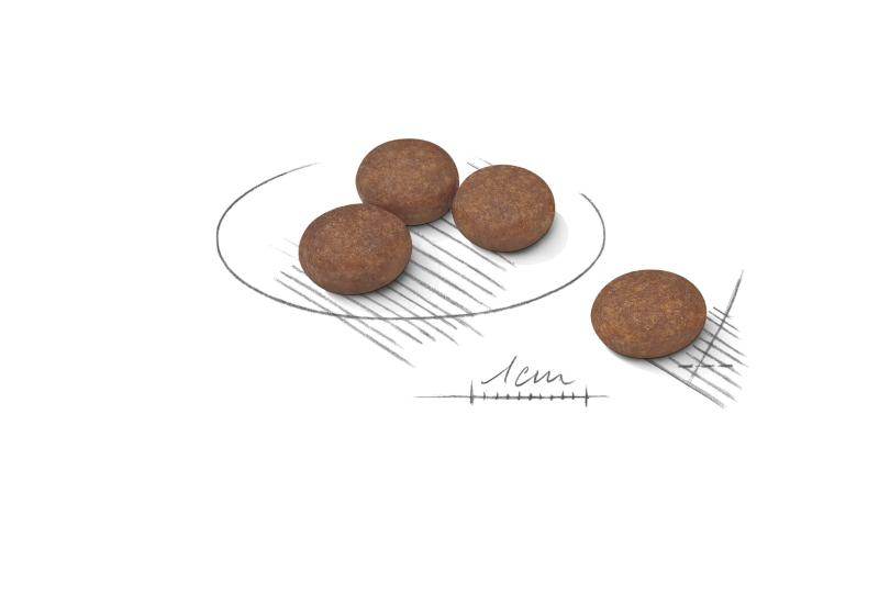 Digestive Care Mini 1kg Royal Canin