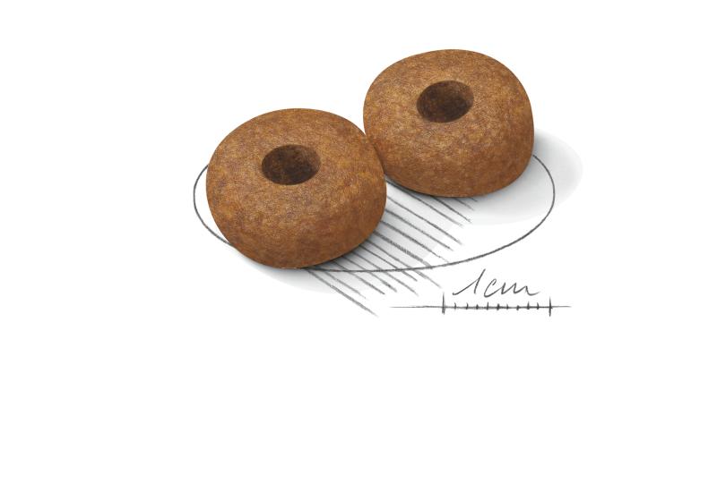 Medium Ageing 10+ 3 kg Royal Canin