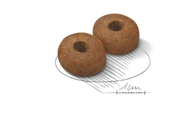 Maxi Ageing 8+ 15 kg Royal Canin