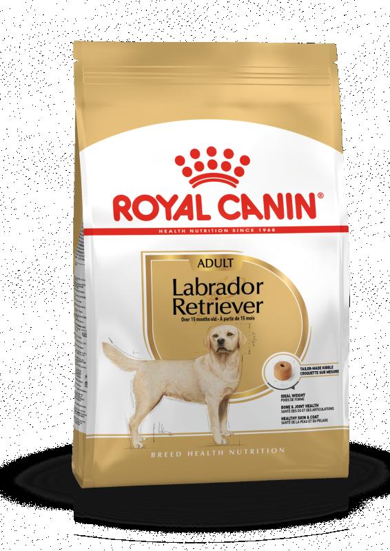Labrador Retriever Adult 12 kg Royal Canin