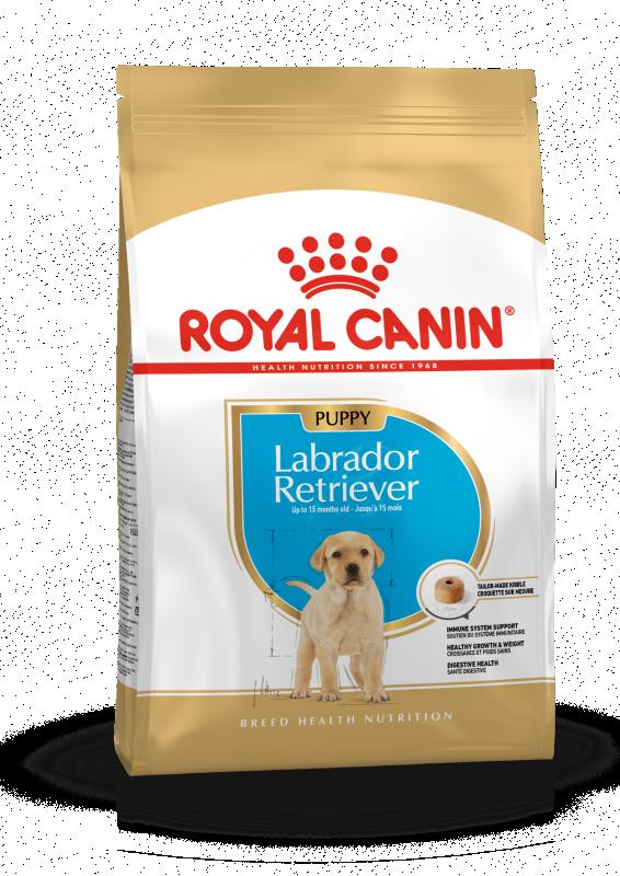 Labrador Retriever Puppy 12 kg Royal Canin
