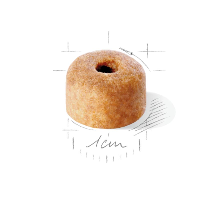 Labrador Retriever Puppy 12 kg Royal Canin