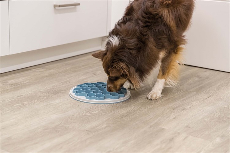 Slow Foderplatta "bivax", plast/TRP/TPE, o, 30 cm, grå/blå