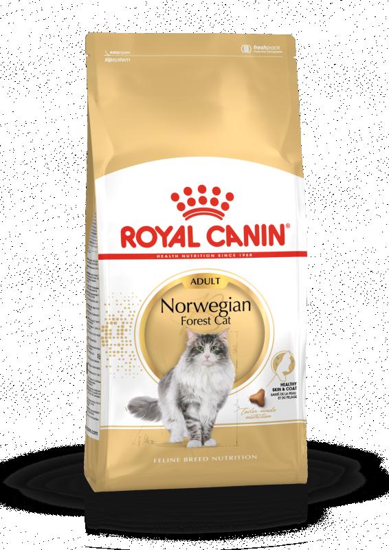 Norwegian Forest Cat Adult 10 kg Royal Canin
