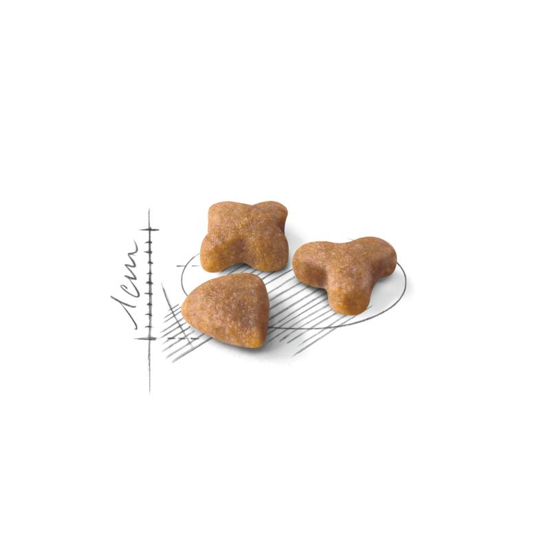 Sensible 4 kg Royal Canin