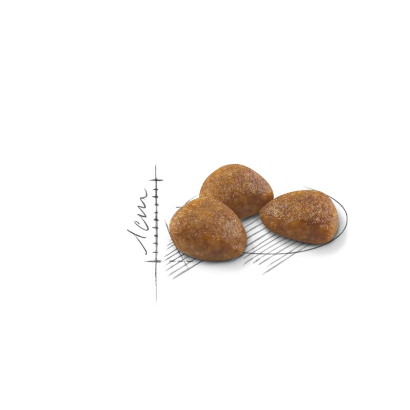 Outdoor 7+ 10 kg Royal Canin