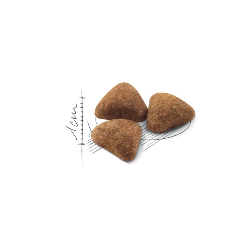 Indoor 2 kg Royal Canin