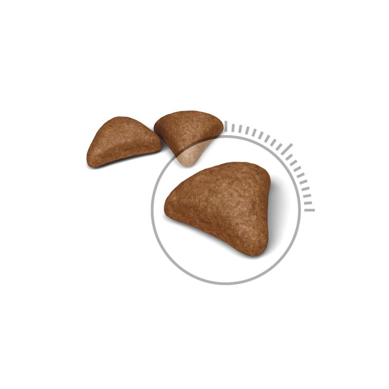 Hairball Care 10 kg Royal Canin