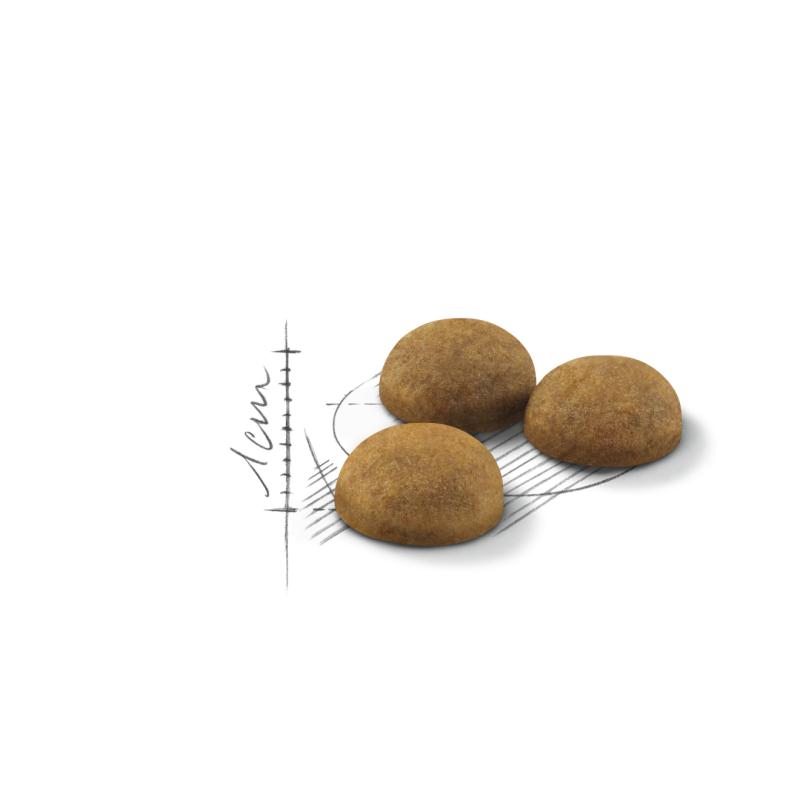 Indoor Long Hair 10 kg Royal Canin