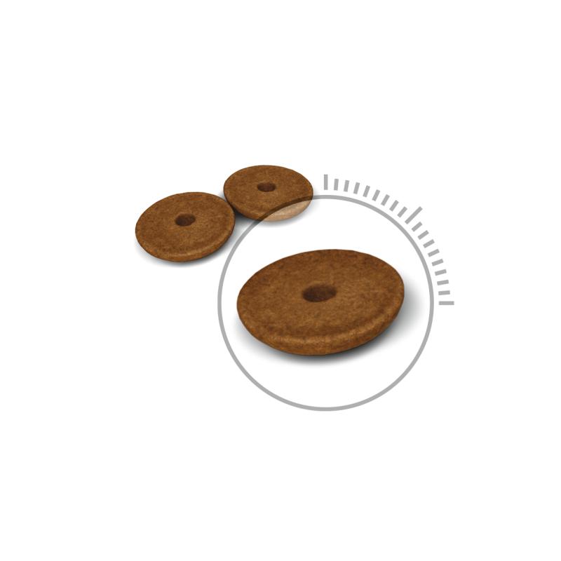 Digestive Care 400 g Royal Canin