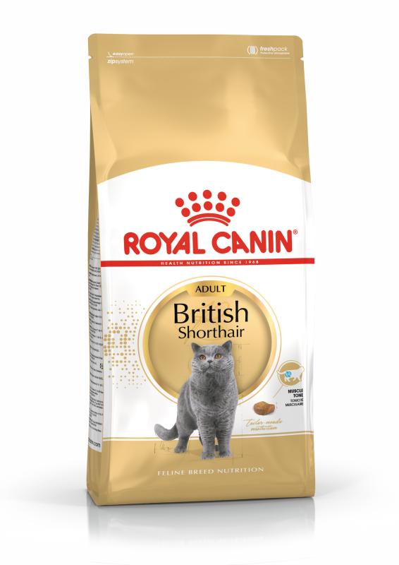 British Shorthair Adult 10 kg Royal Canin