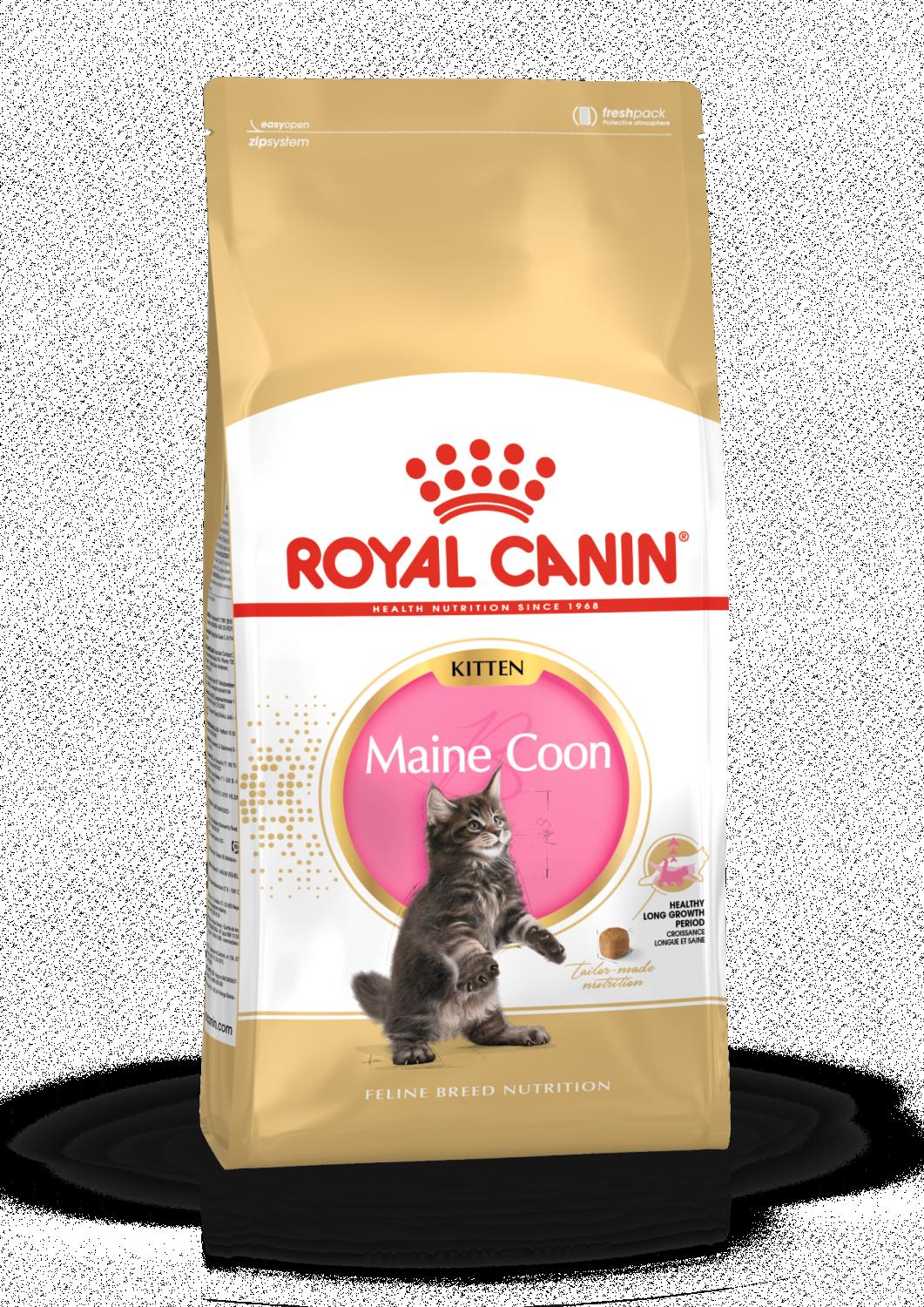Royal Canin Maine Coon Kitten 2 kg