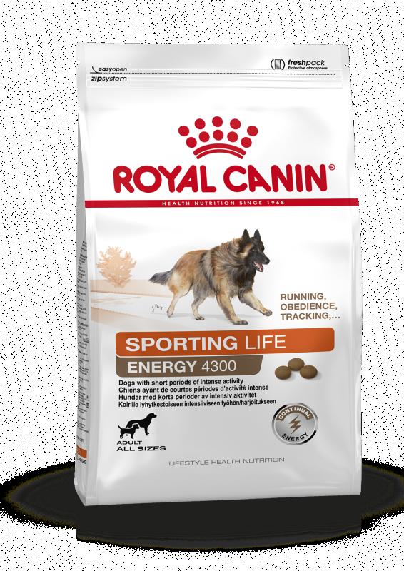 Sporting Life Energy 4300 15kg Royal Canin